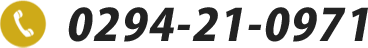 0294-21-0971